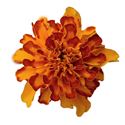 Afbeelding van Tagetes kleinbl P9 Yellow Orange gevlamd(bolero)